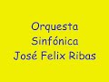 Orquesta Sinfónica Juvenil de Aragua José Felix Ribas