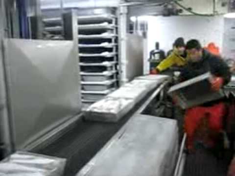 Life on the Bering Sea