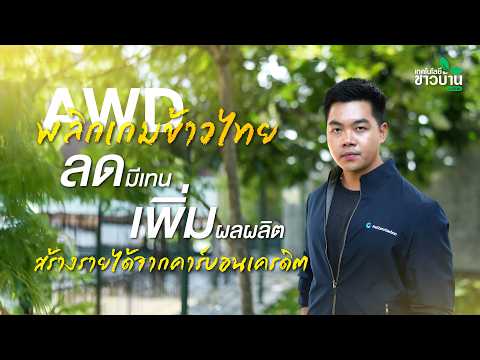 AWD พลิกเกมข้าวไทย ลดมีเทน เพิ่มผลผลิต สร้างรายได้จากคาร์บอนเครดิต