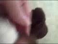 videos de Jan 31 2007 - VID00042