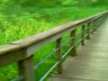 Long Walk Around a Lake on a Long Wooden Deck Griffith Indiana