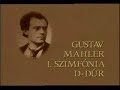 tamas vasary: mahler i symphony no1 part1