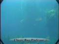 Fishing Lure Tips - Jerkbaits