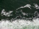 waves