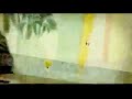 Hola Don Jopito, Hola Don Jos�! - Jopo de Gomina