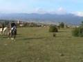 Casa rural Sagasti Zahar. Caballerizas Bicuña