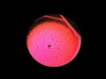 merkaba-vrgen-light-fractals.html