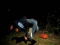 videos de Chad Melton