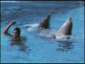 dauphins