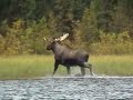 Big Salmon River, Yukon Territory  Yukon Territory Canada