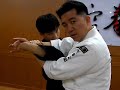 surprise standing Arm Lock surprise standing Arm Lock