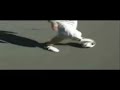 Groundmoves Compilation Groundmoves Compilation