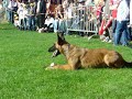 Polizeihundestaffel - 30.9.2007 @ Vienna Record Day - 1/2