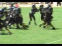 Lauderdale Lakes Vikings - Pee Wees Lauderdale Lakes Vikings - Pee Wees
