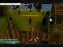 [RS] Fast Woodcutting xp [f2p/p2p]