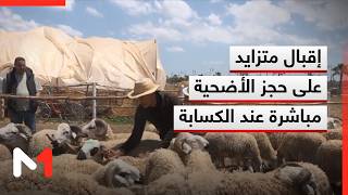 إقبال متزايد على حجز الأضحية مباشرة عند الكسابة لتفادي تقلبات السوق