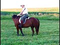 Quick Tips Series No. 11 - Basic Neck Reining Quick Tips Series No. 11 - Basic Neck Reining