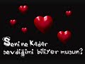 güzel