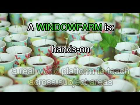See video