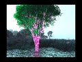 Glow Tree