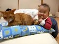 Kedi ile Bebeğin Dostluğu