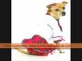 Halloween Pet Dog Costumes