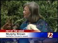 Pet Of The Week: Ellie And McIver Pet Of The Week: Ellie And McIver
