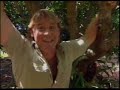 R.I.P steve irwin