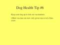 pet insurance, vip pet insurance