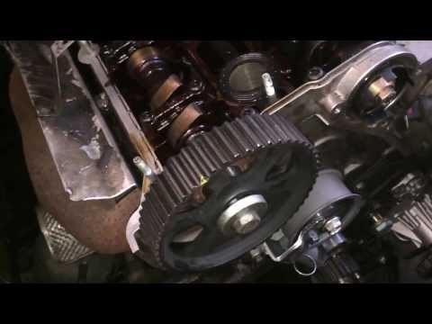 how to change timing belt on vw passat