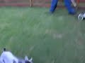SANY0738