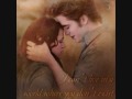 Twilight – Flightless Bird, American Mouth