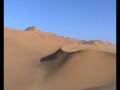 videos de www.elbaeumberto.com Sahara Libico, Duna di Wan Casa