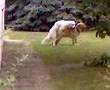 germering ficken oder gefickt werden