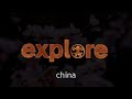 Chinese Instruments: Ruan
