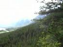 The View