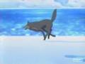 Wolf's Rain Bittersweet