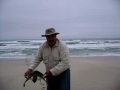 TORTUGA LORA (GENARO ZUÑIGA DAVILA)