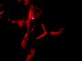 Donita Sparks and the Stellar Moments - SHIT LIST(L7)