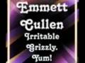 Twilight - Emmett Cullen