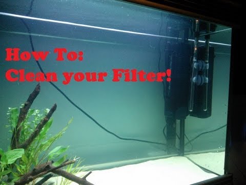 how to unclog an aquarium filter