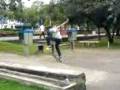 Despiche Skateboards.3gp