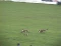 Irish Cup 1/4 final 2007 (eshwary ando vs castlemartyr)