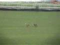 Irish Cup 1/4 final 2007 (eshwary ando vs castlemartyr)