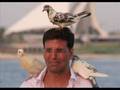 ucha lamba