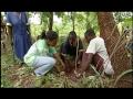 Developing Ecotourism Programs in Ghana with a ...