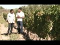 Atilio-Avena3.flv