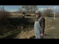 Dairyman Blues