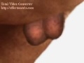 el bananero grano system