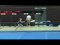 2008 Begonia Gymfest Level 4 Vault #1